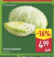 Kapusta