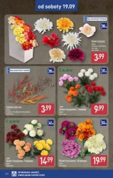 Akcesoria turystyczne -Aldi