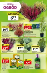 Festiwal polskich produktów - Auchan Hipermarket