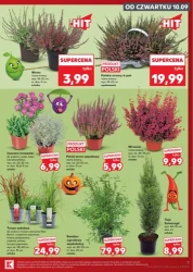 Tygodniowe hity cenowe! - Kaufland
