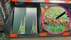 Kaufland rusza z ofertą Parkside. Te 4 sprzęty przydadzą się podczas jesiennych porządków