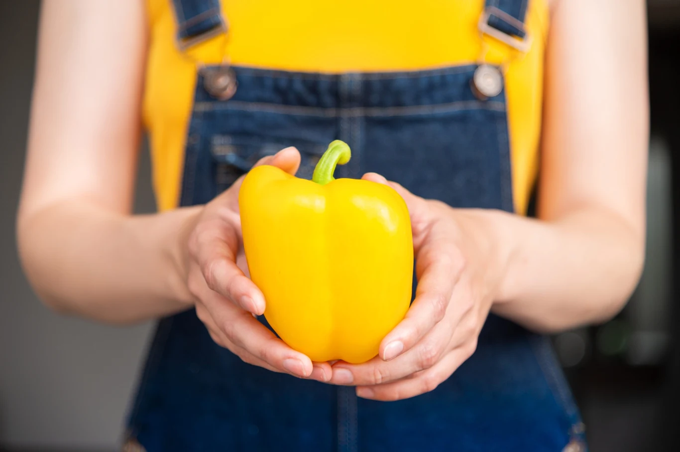 Żółta papryka zawiera witaminy, potas i błonnik. Warto włączyć ją do codziennego jadłospisu Żółta papryka trzymana w dłoniach osoby ubranej w żółty T-shirt i niebieskie ogrodniczki.