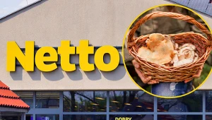 Sezon grzybowy w pełni. Netto przecenia akcesoria dla grzybiarzy już od 5,40 zł