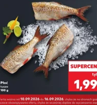 Płoć