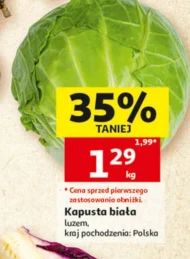Kapusta biała