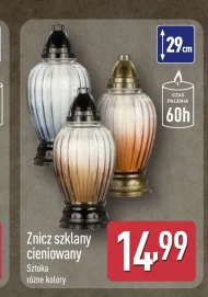 Znicz