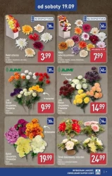 Znicze i dekoracje nagrobne - Aldi