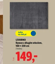 Dywan Livarno
