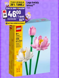 Klocki LEGO