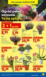 Weekend pod znakiem rabatów - Lidl