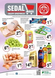 Dobry czas na domowe zapasy - Sedal