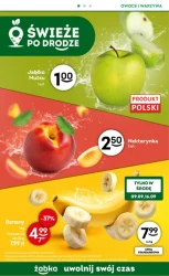 Wpadnij po coś pysznego - Żabka