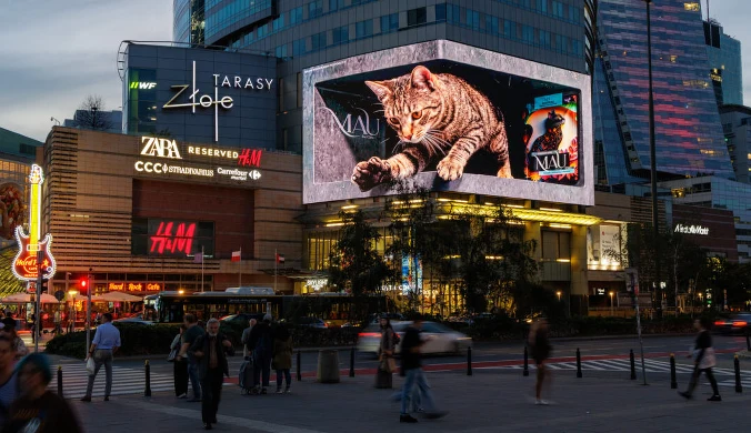 Warszawa ma własne Tokio. Gigantyczny kot podbija internet