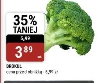 Brokuł