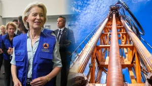 Mocne oskarżenia wobec Komisji Europejskiej. Ekolodzy stracili cierpliwość