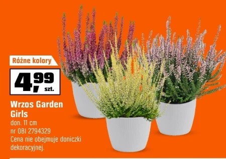 Хізер Gardenic