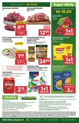 Sezon na dobre zakupy - Stokrotka Market
