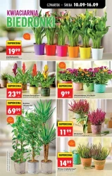 Wrzesień w rytmie promocji - Biedronka