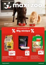 Hity miesiąca - Maxi ZOO