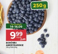 Borówki