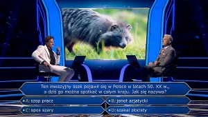 Pytanie o tego inwazyjnego w Polsce ssaka przysporzyły problemów graczowi "Milionerów"