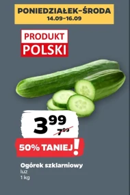 Ogórek Polski