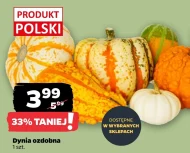 Dynia Polski