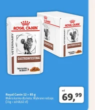 Mokra karma dla kota Royal Canin