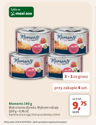Mokra karma dla kota Moments