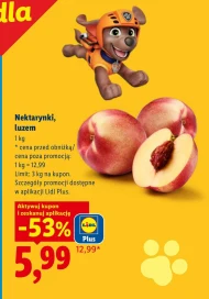 Nektarynki