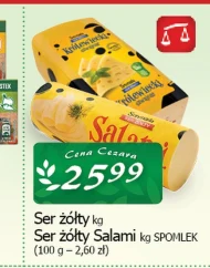 Ser Spomlek