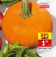 Dynia Polski