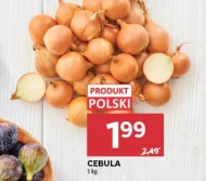 Cebula Polski