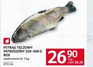 Pstrąg tęczowy Ok.