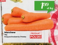 Marchew Polski
