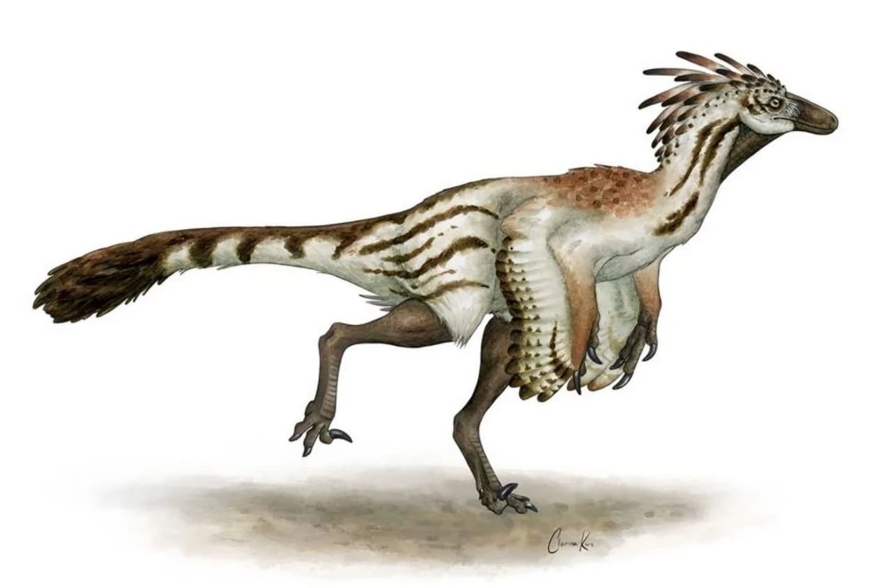 Rekonstrukcja Troodon formosus. Drapieżny dinozaur poruszający się na dwóch nogach, pokryty piórami z charakterystycznymi pręgami na ogonie i grzbiecie oraz długimi kończynami zakończonymi pazurami.