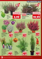 Mocny start od poniedziałku - Kaufland