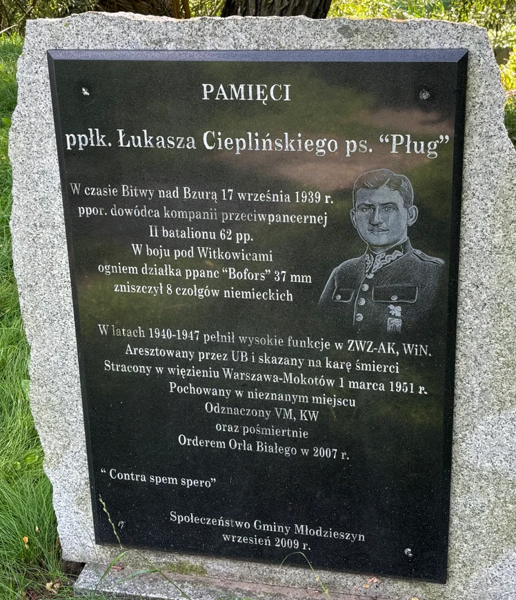 Witkowice. Tablica poświęcona Łukaszowi Cieplińskiemu Pamiątkowa tablica ku czci ppłk. Łukasza Cieplińskiego ps. „Pług” z wygrawerowanym portretem, najważniejszymi informacjami o jego działalności wojskowej, śmierci oraz odznaczeniach, ustawiona na tle zieleni.