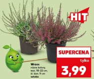 Хізер Hit