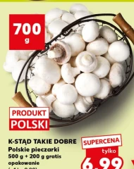 Гриби