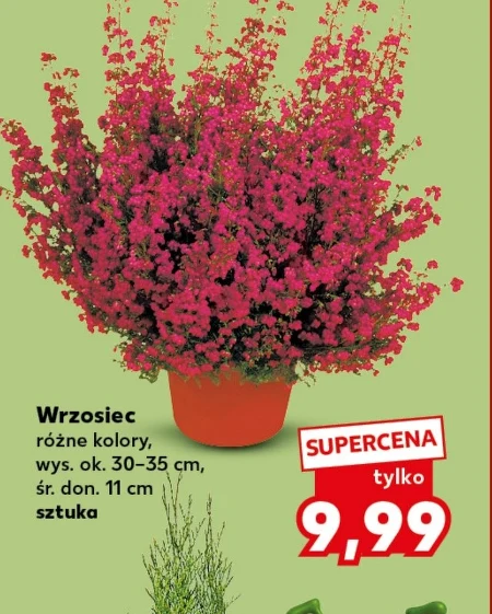 Хізер