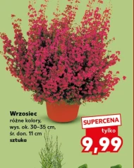 Хізер