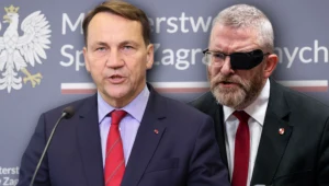 Szef MSZ Radosław Sikorski i Grzegorz Braun. Sklejka, Kolaż ilustracyjny