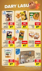 Grzybowe łowy rozpoczęte - Carrefour Market