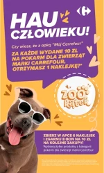 Chemia i kosmetyki w promocji - Carrefour Market