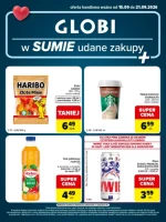 Na szybko i bez przepłacania - Globi
