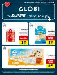Na szybko i bez przepłacania - Globi