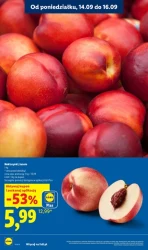 Rewolucja cenowa! - Lidl