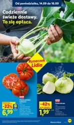 Rewolucja cenowa! - Lidl