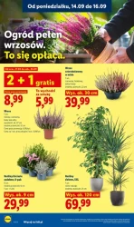 Rewolucja cenowa! - Lidl